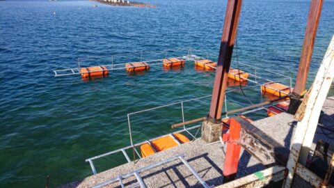 イケス鉄骨組立